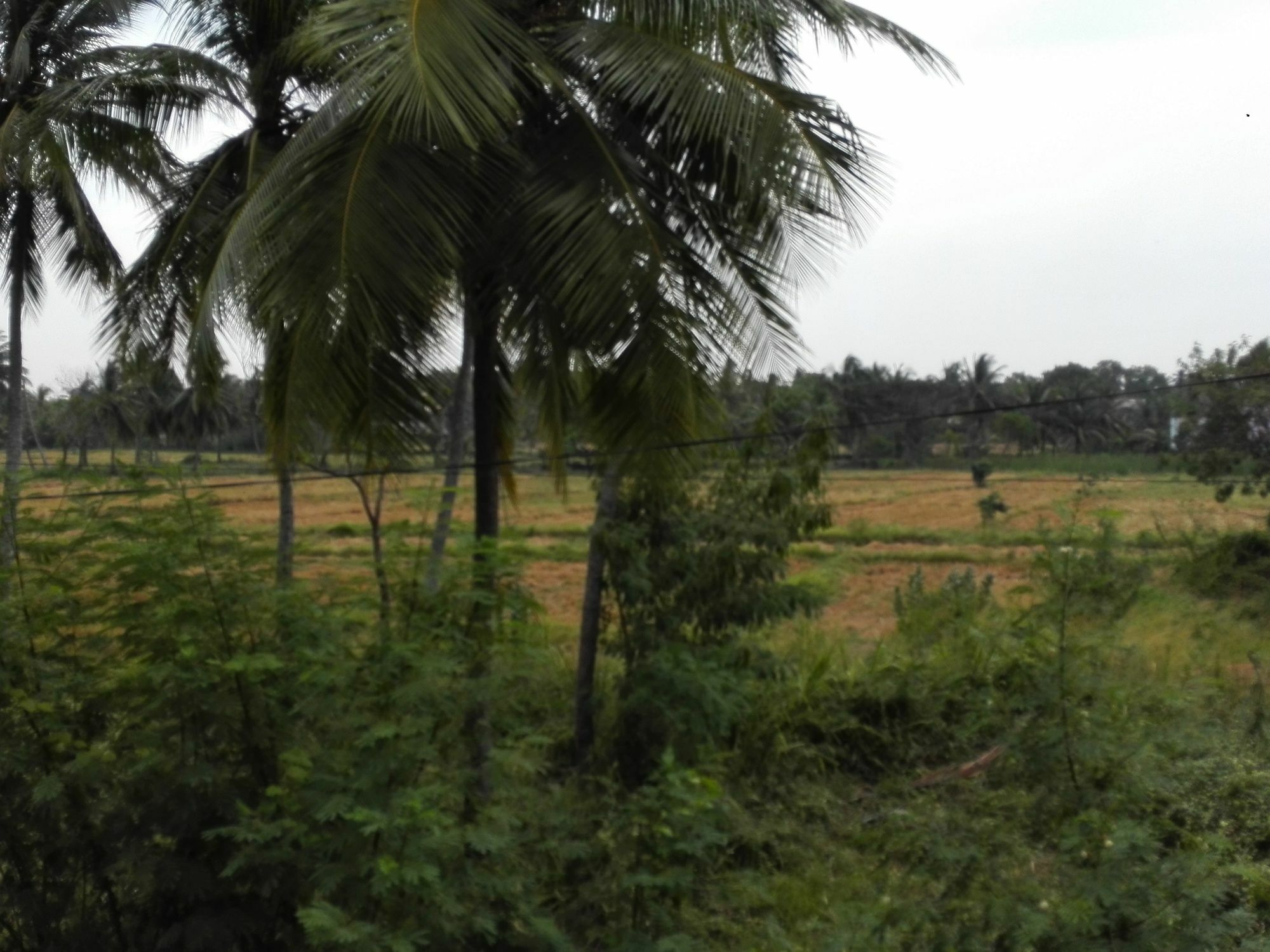Salubrious Resort Anuradhapura Exterior photo